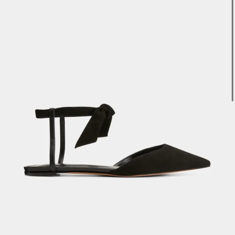 ALEXANDRE BIRMAN
Clarita Pointed Suede Ankle-Tie Flats